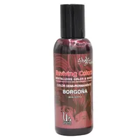 STYLE MAX MASCARILLA BORGOÑA X 140ML - Miniatura 1