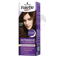 PALETTE MINIKIT TINTE CHOCOLATE CEREZA N.580 X 50GR - Miniatura 1