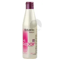 SALERM SHAMPOO HI REPAIR X 250 ML - Miniatura 1