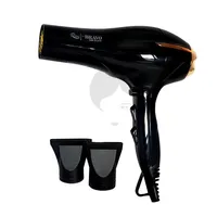 NEW TURBO SECADOR NT BRAVO  3800 W - Miniatura 1