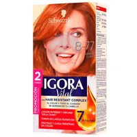 IGORA VITAL TINTE COBRIZO CLARO 8.77 X2 TUB X50ML - Miniatura 1