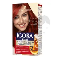 IGORA VITAL TINTE RUBI APASIONADO X 2 TUB 6-888 - Miniatura 1