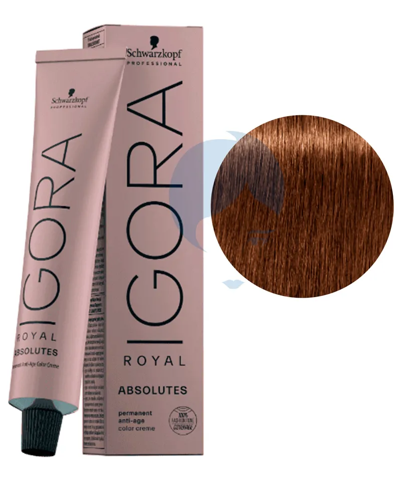 IGORA TINTE ABSOLUTES RUBIO CLARO CHOCOLATE NAT N 8-60 X 60ML - Producto de belleza y estética en Almacén Sandra