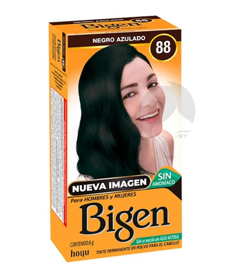 BIGEN TINTE EN POLVO NEGRO AZULADO #88 X6GR - Producto de belleza y estética en Almacén Sandra