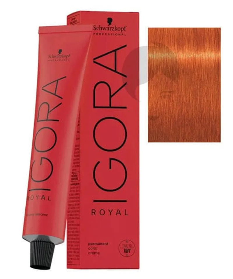 IGORA ROYAL TINTE RUBIO CLARO COBRIZO INTENSO N.8.77 X 60ML - Producto de belleza y estética en Almacén Sandra