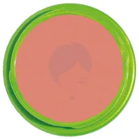 RAQUEL RUBOR MINERALS N.15 SALMON X 4.5GR - Miniatura 1