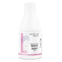 SALERM SHAMPOO LISS CONTROL X 300ML - Miniatura 1