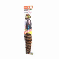 ELITE EXTENSIONES CROCHET REALISTIC GHANA 24  N-27 - Miniatura 1