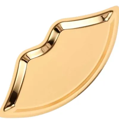 BEAUTYPLUS BANDEJA QUIRURJICA LABIOS DORADA REF:5120 - Producto de belleza y estética en Almacén Sandra