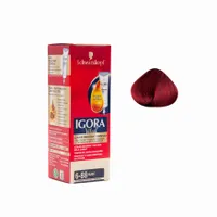 IGORA VITAL TINTE RUBI 6.88 X 1 TUBO 50ML - Miniatura 1